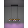Illuminazione Eglo HORNWOOD-Z Lampadario a sospensione LED Marrone, Nero, 4-Luci, Cambia colore