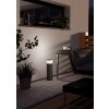 Illuminazione Eglo EGLO Lampade con presa elettrica Antracite, 1-Luce