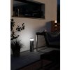 Illuminazione Eglo EGLO Lampade con presa elettrica Antracite, 1-Luce