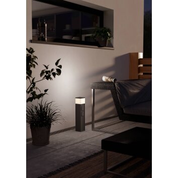 Illuminazione Eglo EGLO Lampade con presa elettrica Antracite, 1-Luce Illuminazione Eglo EGLO Lampade con presa elettrica Antracite, 1-Luce