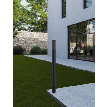 Illuminazione Eglo SALLE Lampada da terra Nero, 1-Luce Illuminazione Eglo SALLE Lampada da terra Nero, 1-Luce