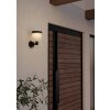 Illuminazione Eglo PANTETE Lampada solare LED Nero, 1-Luce, Sensori di movimento