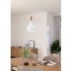 Illuminazione Eglo SABINAR Lampadario a sospensione Bianco