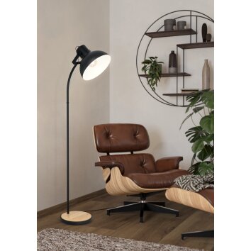 Illuminazione Eglo LUBENHAM Lampada da terra Marrone, Nero, 1-Luce