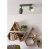 Illuminazione Eglo TILSTON Plafoniera, Faretto da soffitto Verde, 2-Luci