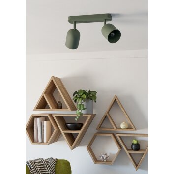 Illuminazione Eglo TILSTON Plafoniera, Faretto da soffitto Verde, 2-Luci