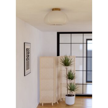 Illuminazione Eglo SUMMERHILL Plafoniera Marrone, 1-Luce