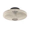 Illuminazione Eglo MIDSUMER Plafoniera Nero, 1-Luce