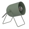 Illuminazione Eglo TILSTON Lampada da tavolo Verde, 1-Luce