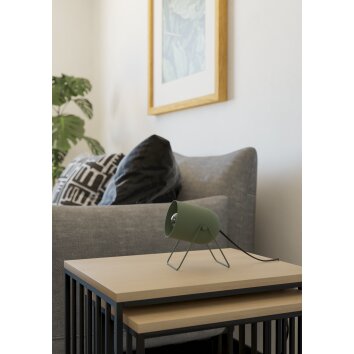 Illuminazione Eglo TILSTON Lampada da tavolo Verde, 1-Luce
