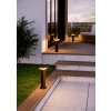 Illuminazione Eglo RIGOSA Lampada con piedistallo LED Nero, 1-Luce