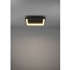 Illuminazione Eglo LORETELLO Plafoniera, Applique e plafoniera LED Nero, Telecomando