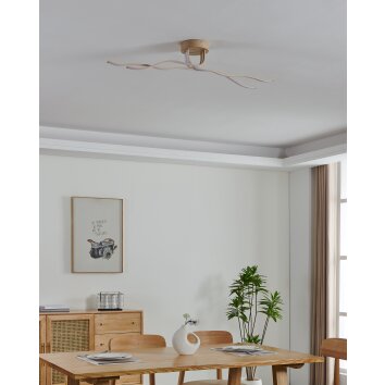 Illuminazione Eglo EGLO Plafoniera, Applique e plafoniera LED Marrone chiaro