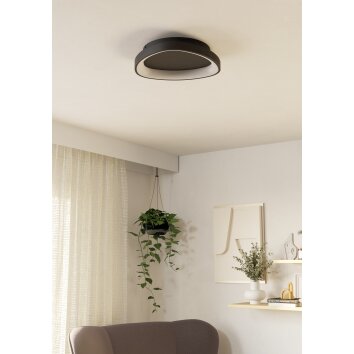 Illuminazione Eglo LORETELLO Plafoniera, Applique e plafoniera LED Nero, Telecomando