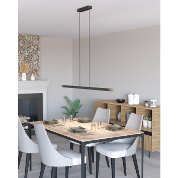 Illuminazione Eglo LISCIANA Lampadario a sospensione LED Grigio