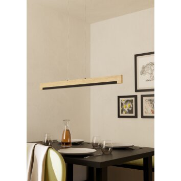 Illuminazione Eglo CAMACHO Lampadario a sospensione LED Marrone, Nero
