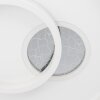 Illuminazione Eglo TIRIOLO Plafoniera, Applique e plafoniera LED Argento, Bianco