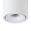 Illuminazione Eglo BOHOYO Plafoniera, Faretto da soffitto LED Bianco