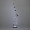 Illuminazione Eglo CARDONCITO Lampada da terra LED Nero, Cambia colore