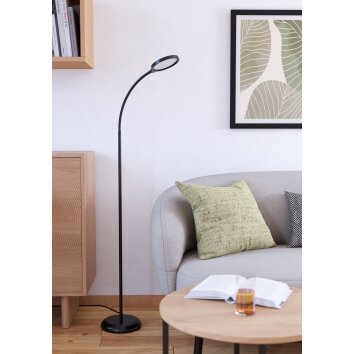 Illuminazione Eglo LAURO Lampada da terra LED Nero