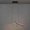 Illuminazione Eglo CARDONCITO Lampadario a sospensione LED Nero, Cambia colore