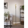 Illuminazione Eglo CASTELPOTO Lampada da terra LED Ottone, Nero