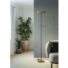 Illuminazione Eglo CONIVARINO Lampada da terra LED Ottone, Nero