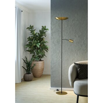 Illuminazione Eglo CONIVARINO Lampada da terra LED Ottone, Nero