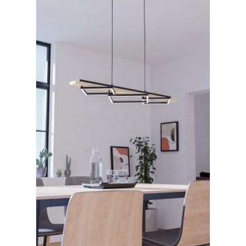 Illuminazione Eglo BOYAL Lampadario a sospensione LED Marrone, Nero