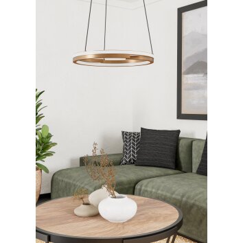 Illuminazione Eglo MEZZOMONTE Lampadario a sospensione LED Bronzo, Nero, Telecomando