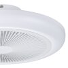 Illuminazione Eglo mit Lampada con ventilatore LED Bianco, Telecomando