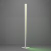 Illuminazione Eglo BOLOGNANO-Z Lampada da terra LED Grigio, Cambia colore
