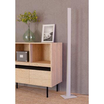 Illuminazione Eglo BOLOGNANO-Z Lampada da terra LED Grigio, Cambia colore