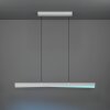 Illuminazione Eglo BOLOGNANO-Z Lampadario a sospensione LED Grigio, Cambia colore