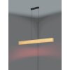 Illuminazione Eglo ANCHORENA-Z Lampadario a sospensione LED Marrone, Nero, Cambia colore