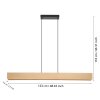 Illuminazione Eglo ANCHORENA-Z Lampadario a sospensione LED Marrone, Nero, Cambia colore