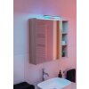 Illuminazione Eglo REGELLO-Z Lampada da specchio LED Cromo, Argento, Cambia colore