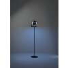 Illuminazione Eglo ALFERO-Z Lampada da terra LED Nero, Cambia colore