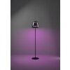 Illuminazione Eglo ALFERO-Z Lampada da terra LED Nero, Cambia colore