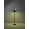 Illuminazione Eglo ALFERO-Z Lampada da terra LED Nero, Cambia colore