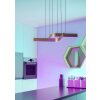 Illuminazione Eglo FOLCINO-Z Lampadario a sospensione LED Bronzo, Nero, Cambia colore