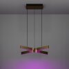 Illuminazione Eglo FOLCINO-Z Lampadario a sospensione LED Bronzo, Nero, Cambia colore