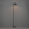 Illuminazione Eglo CONOMAVILLA-Z Lampada da terra LED Nero, Cambia colore