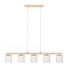 Illuminazione Eglo CASTRALVO Lampadario a sospensione Marrone, Nichel opaco