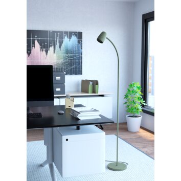 Illuminazione Eglo CARLO Lampada da terra Verde