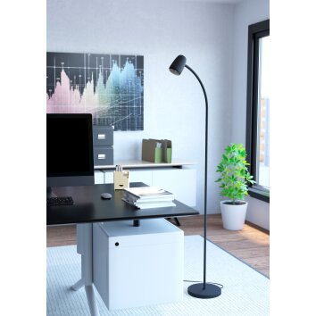 Illuminazione Eglo CARLO Lampada da terra Nero