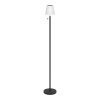 Illuminazione Eglo MONTAPALMA-L Lampada da terra LED Nero, Telecomando, Cambia colore Illuminazione Eglo MONTAPALMA-L Lampada da terra LED Nero, Telecomando, Cambia colore