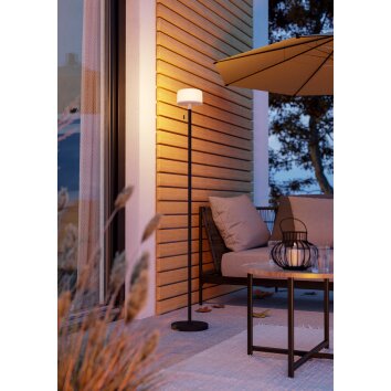 Illuminazione Eglo MONTAPALMA-L Lampada da terra LED Nero, Telecomando, Cambia colore Illuminazione Eglo MONTAPALMA-L Lampada da terra LED Nero, Telecomando, Cambia colore