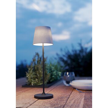 Illuminazione Eglo LEONERO Lampada da tavolo LED Nero, Telecomando