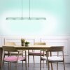 Leuchten Direkt LOLAsmart-NELE Lampada a Sospensione LED Nichel opaco, 5-Luci, Telecomando, Cambia colore